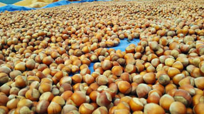 ‘Emanete fındık bırakmayın’