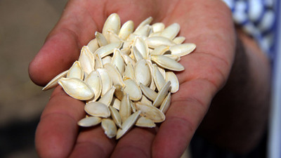 "Hanım tırnağına" akademik müdahale