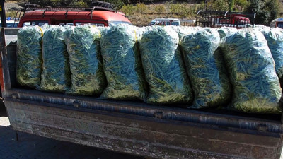 Fasulye üreticisi şikayetçi