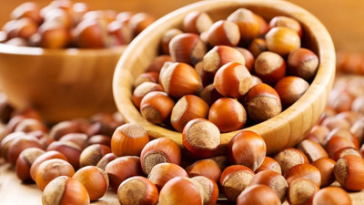 Fındık fiyatı yeniden 15 lirayı gördü