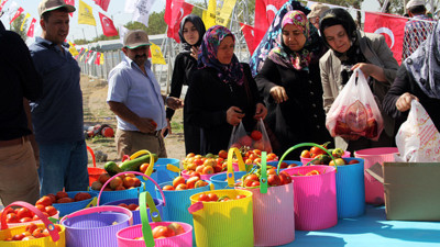 "Tarıma Engel Yok" hasat şenliği