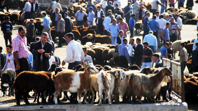 Metropollere kurbanlık sevkiyatı sürüyor