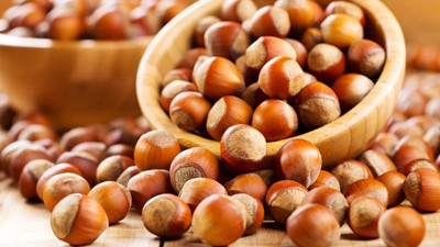 Fındık üreticisi bayram sonrasından umutlu