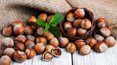 Fındık üreticisi fiyat dalgalanmasından rahatsız