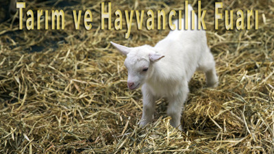 İzmir'de fuar heyecanı