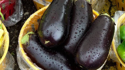 Patlıcan el yaktı, portakal ucuzladı