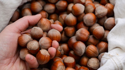 Türkiye, fındıkta avantajını kaybedebilir