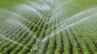 Yeşildere Barajı tarımsal sulamaya hizmet edecek