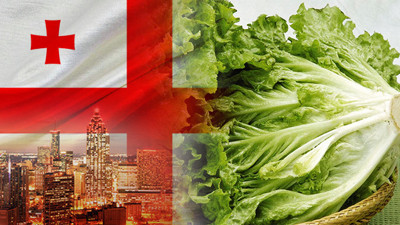 Türkiye’den Gürcistan’a marul ihraç edilecek