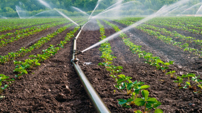 Hibe desteği için son gün 14 Şubat