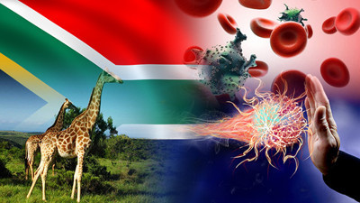 G. Afrikalı ilaç üreticisi immunoglobin ithal etmek istiyor