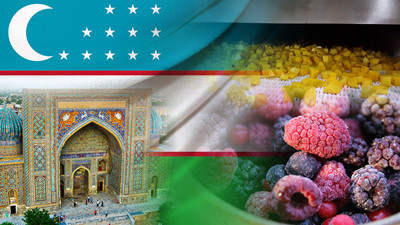 Özbekistanlı müşteri IQF hat kurulum dahil teklif istiyor