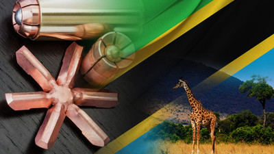 Tanzanyalı firma tüfek mermisi ve şarjörü satın alacak