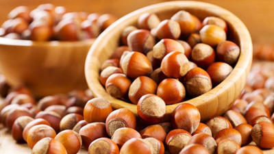 Öztürk: Sabit bir fındık politikasına ihtiyaç var