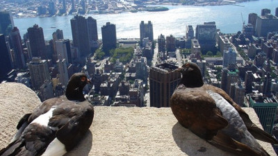 Dünyanın en turistik şehirleri açıklandı