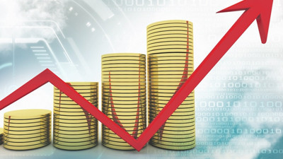 Büyüme ve enflasyon ışığında 2018 yılı beklentileri