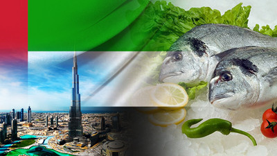 Birleşik Arap Emirlikleri firması çipura satın alacak