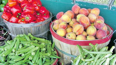 Hintli doktorla raw food'u anlatacaklar