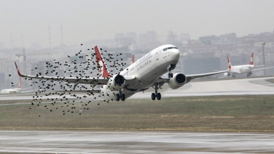 SHGM'dan 'kuş' genelgesi