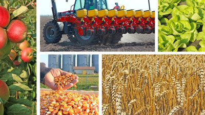 Nitratlı gübre muhtar ve aza denetiminde kullanılacak