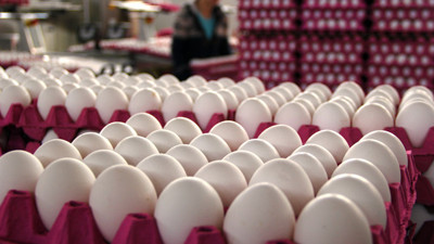 Sektör 2017'den umutlu