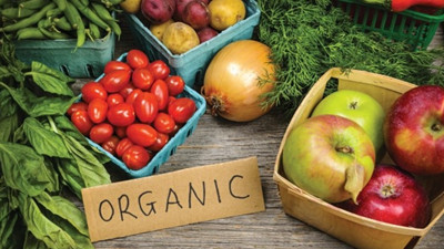 İşte organiğin 5N1K’sı!