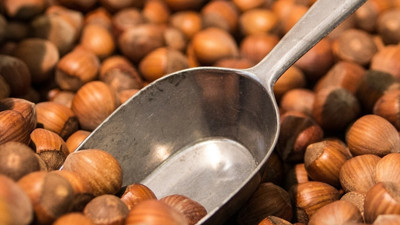 Fındıkta lider Sakaryalı üretici