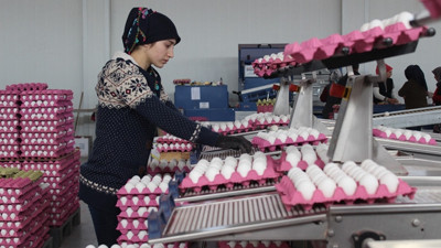 Yumurta fiyatının aylık belirlenmesi ihracatçıyı rahatlattı