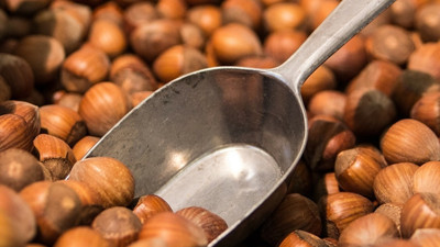 Fındık fiyatı 10 liraya yükseldi