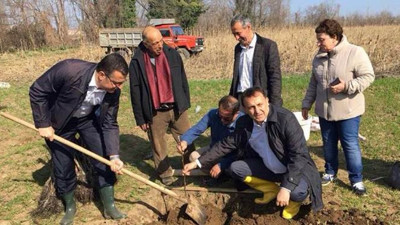 Fındık üreticisi cevizle kazancını ikiye katlayacak