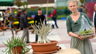 Bu kez ağaçlar yarıştı