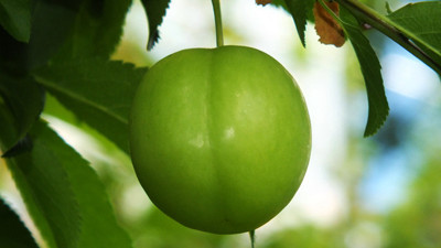 300 liradan 30 liraya düştü