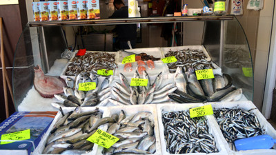 Hamsi sezonu kapattı