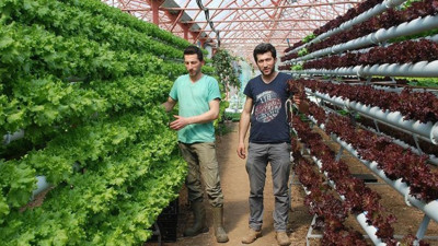 Topraksız tarımla verimi üçe katladılar