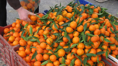 Mart ayının zam şampiyonu mandalina