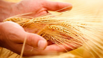 Tarım sigortası eğitimlerine 5 ilde devam edilecek