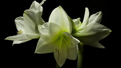 4 dakikalık video için 3 sene, 8 TB fotoğraf