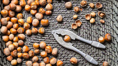 TMO fındık üreticisinin yüzünü güldürdü