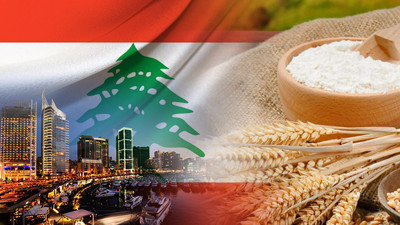 Lübnanlı firma buğday nişastası satın alacak