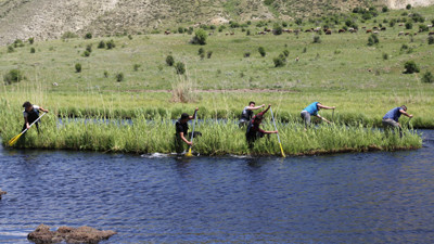 Tortum'un "yüzen adaları" ziyaretçilerini bekliyor