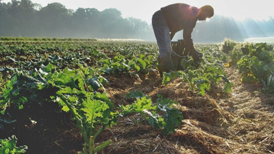 Tarımsal istihdam geriledi