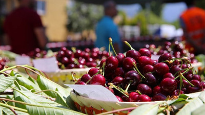 Çin'e kiraz ihracatı seneye kaldı