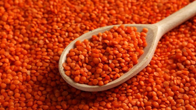 Mercimek üretimi yüzde 15 artacak