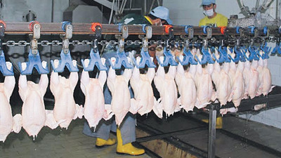 Pilyem, üretiminin yüzde 35’ini ihracata gönderiyor