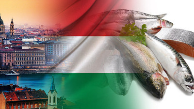 Macar firma balık çeşitleri ithal etmek istiyor