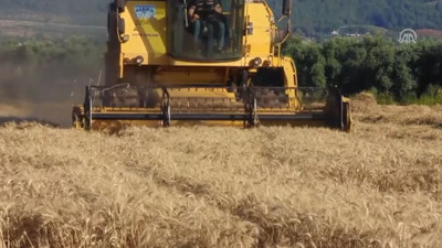 "Türkiye buğdayda kendine yetiyor"