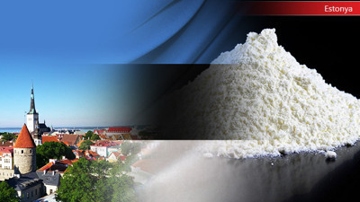 Estonyalı firma inülin üretim hattı teklifi istiyor