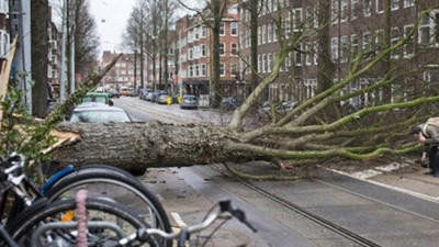 Almanya'da fırtına: 8 kişi hayatını kaybetti
