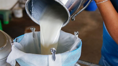 Çiğ süt fiyatları üreticiyi sevindirdi