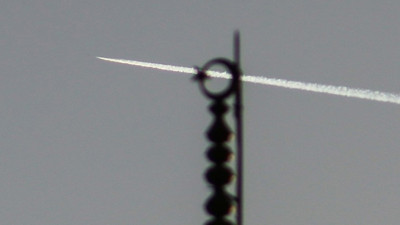 "Zeytin Dalı Harekatı" dünya medyasında